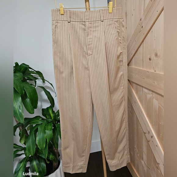 Everlane Pants - EVERLANE Size 6‎ Women’s Beige Pinstripe Pleated Pants